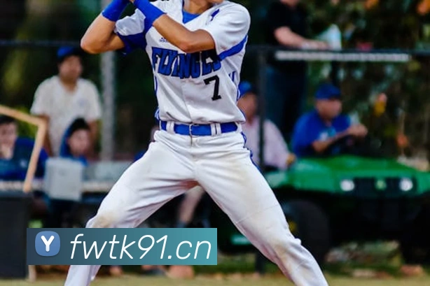 星空入口网页版官方版服务体系